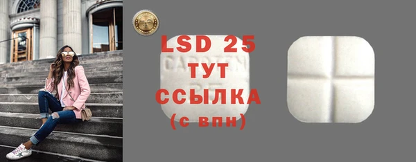 амф Аркадак