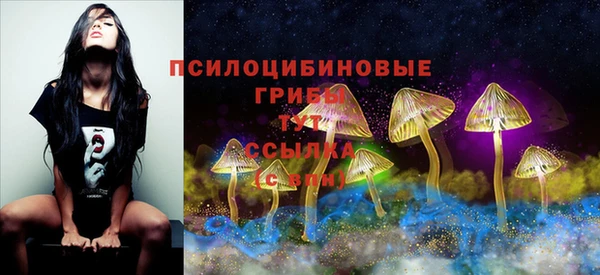 амф Аркадак
