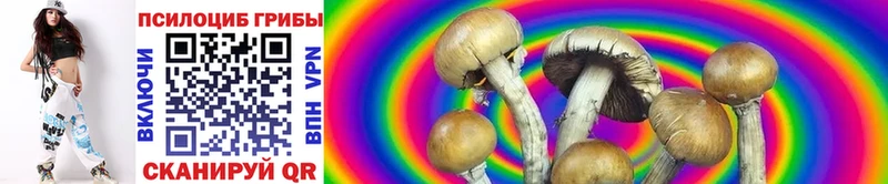 Псилоцибиновые грибы Magic Shrooms  Купить закладки  Лодейное Поле 